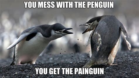 pinguino memes|penguin walk meme.